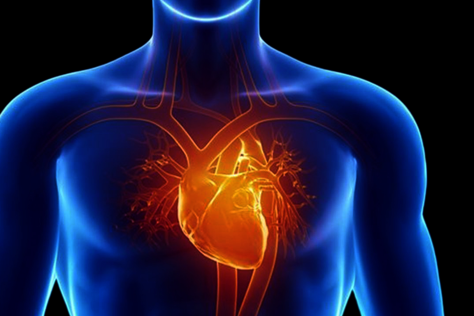cardiac-and-vascular-expertise-reading