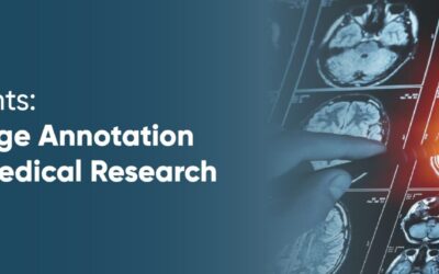 Unlocking Insights: The Role of Image Annotation in Advancing Medical Research