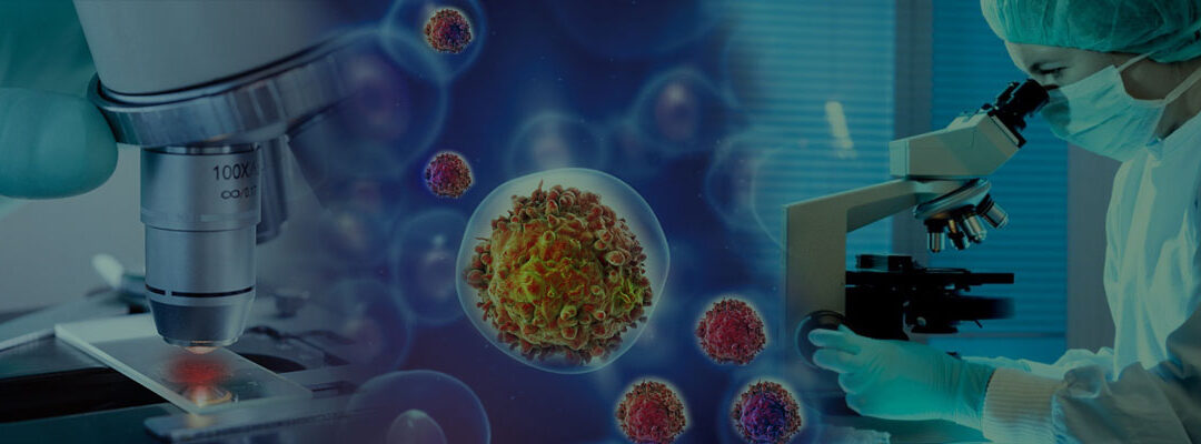 Imaging in Various Phases of Clinical Trials