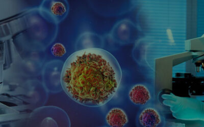 Imaging in Various Phases of Clinical Trials