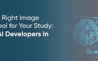 Choosing the Right Image Annotation Tool for Your Study: A Guide for AI Developers in Radiology