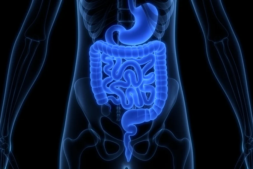 gastroenterology